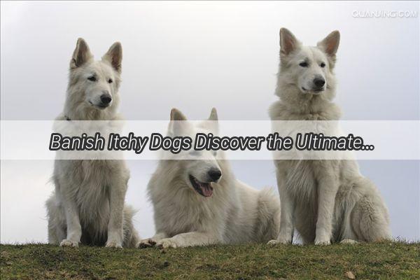 Banish Itchy Dogs Discover the Ultimate Pet Relief Cream